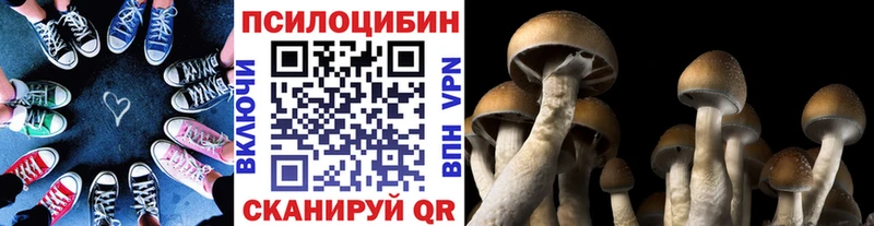 Псилоцибиновые грибы мицелий  Хилок 